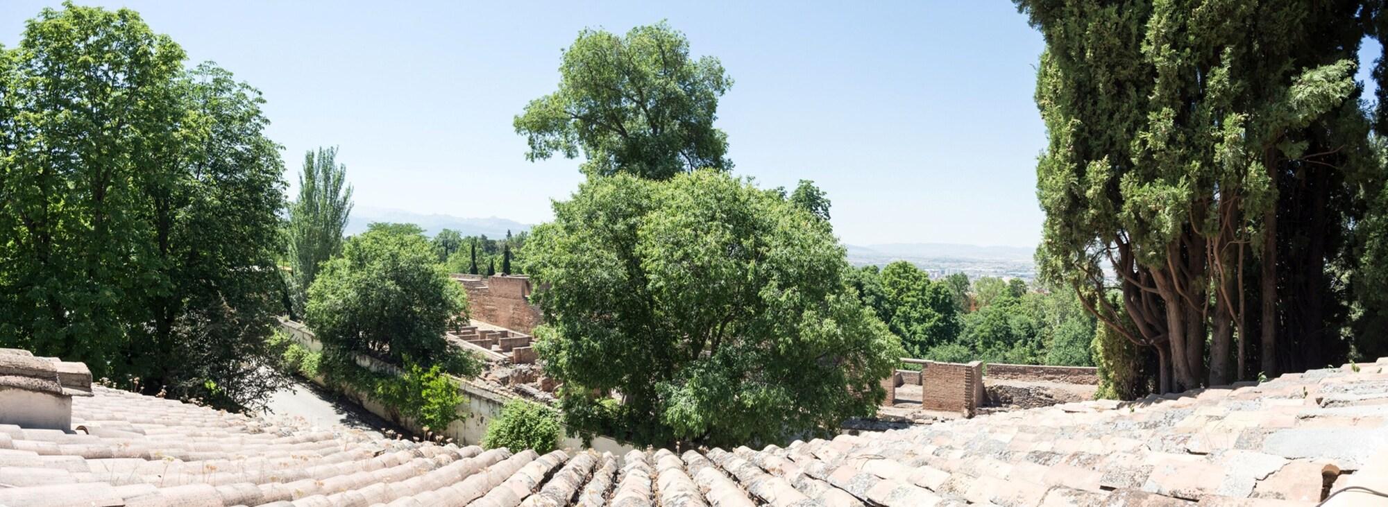 América * Granada